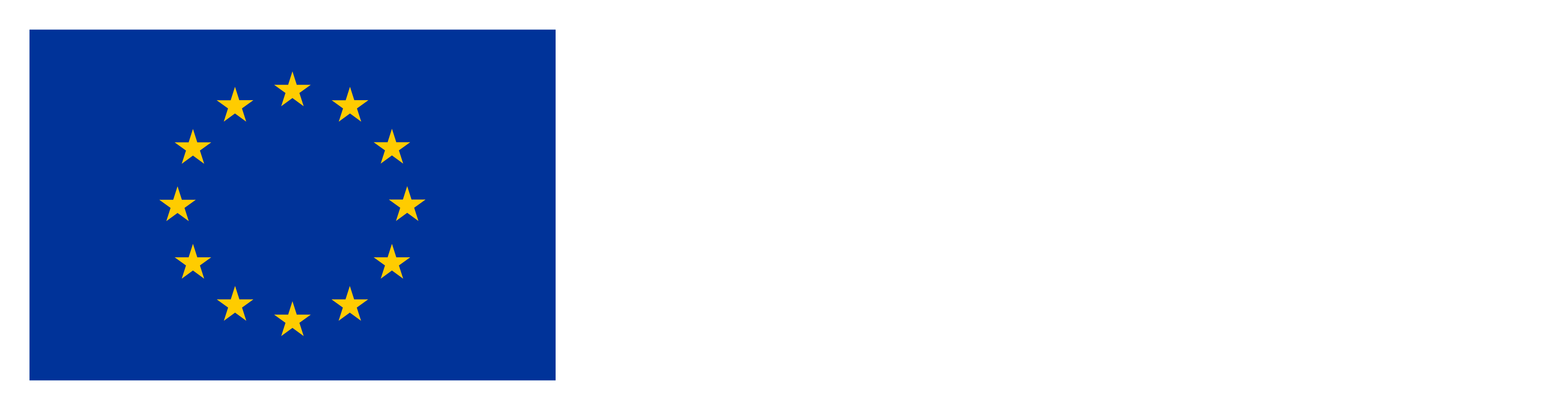 Logo Financiado por la Unión Europea